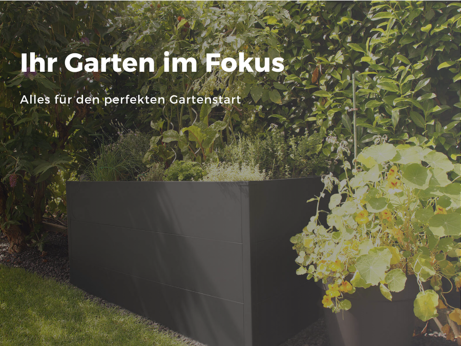 Ihr Garten im Fokus: Alles für den perfekten Gartenstart - Ihr Garten im Fokus: So starten Sie perfekt in die Gartensaison!