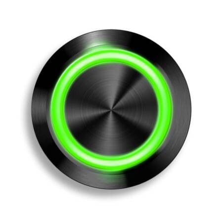 Edelstahl Taster Schwarz LED-Ring grün